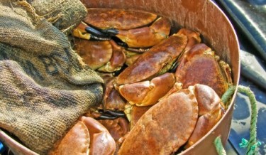 Каменный Краб