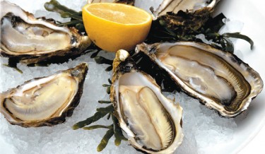 Устрицы