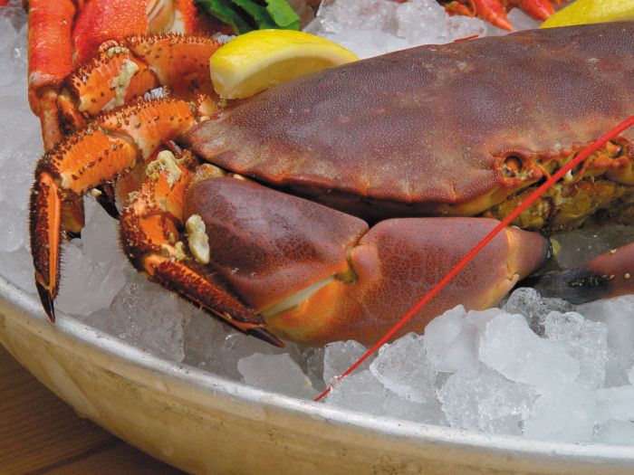 Джерсийский Краб