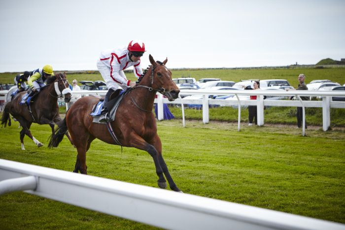 Скачки в Джерси